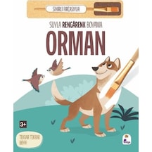 Suyla Rengarenk Boyama - Orman Sihirli Fırçasıyla - Msbu-867112