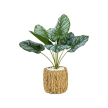 Biçiçek Yapay Salon Bi̇tki̇si̇ Bi̇tki̇si̇ 60 Cm