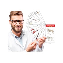 Veteriner Anatomi Cep Kartı Köpek - Kedi