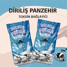 Diriliş Megapanzehir 25 Kg Yem Katkı Toksin Bağlayıcı