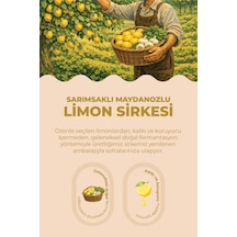 Sarımsaklı Maydanozlu Limon Sirkesi - 250ml - 849369519
