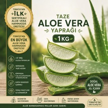 Taze Aloe Vera Yaprağı 1 Kg - Aloe Vera Jel Içerir Sarı Sabır