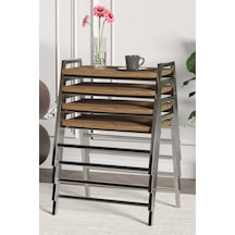 Gümüş - Atlantik Çam