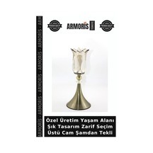Çok Renkli