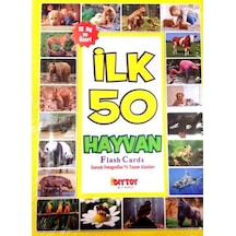 Diytoy İlk 50 Hayvan Flash Cards Hafıza  Kartları