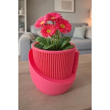 Omeyva Dekoratif Japandi Akıllı Çiftli Saksı Çiçek Kaktüs Bitki Yetiştirme Saksısı - 11 Cm. - Pembe