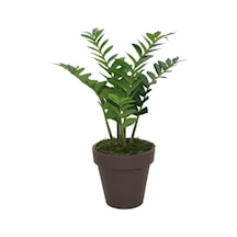Yapay Zambia Ağacı 80 Cm-9959