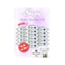 Sleepy Mountain Dağ Esintisi Islak Havlusu 16 Al 14 Öde Ve Rosıe Tekli