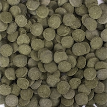 Tropical Hi Algae Discs 25 Gr Açık