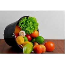 Primanova Saplı Kova Siyah