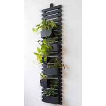 Ahşap Dikey Bahçe Duvar Saksılığı 80x25 Cm- Modern Antrasit Siyah & Doğal Renk Dekoratif Çiçeklik Gri