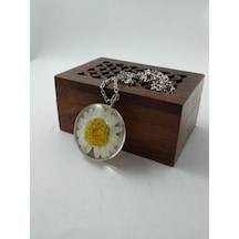 Yaşayan Canli Kolye/Kurutulmuş Çiçekler- Beyaz Papatya  Modeli Çok renkli