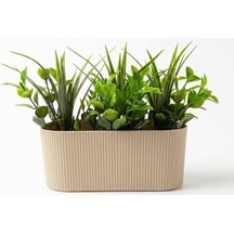 Dekoratif Yapay Sukulent Bitki Saksısı Modern Masaüstü Yapay Bitki Aranjmanı, Dekoratif Plastik Saksı İle Ev, Ofis Ve Raf Dekoru 16 X 7 Cm 50 x 22