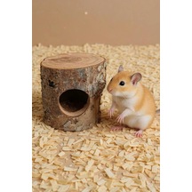 Hamster Elma Ağacı, Ağaç Deliği Kaçış Yuvası, Delik Ahşap Iskele Peyzaj