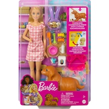 Hck75 Barbie Ve Yeni Doğan Köpekler Oyun Seti, Barbie Ve Hayvanları
