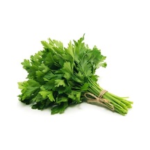 Maydanoz Tohumu Geniş Yapraklı Italyan Maydanoz Tohumu 250 Adet Tohum