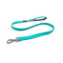 Kedi Köpek Sevk & Gezdirme Kayışı TURKUAZ S 100 x 1.5cm