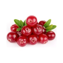 Cranberry Tohumu Turna Yemişi Tohumu Ekim Seti 5 Adet Tohum + Toprak + Saksı
