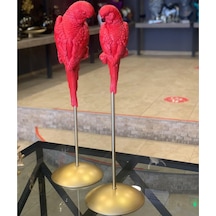 BY ARİ İKİLİ PAPAĞAN BİBLO SET HF320-1