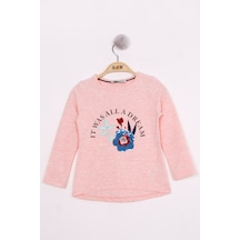 Toontoy Kids Toontoy Kız Çocuk Pullu Güllü Nakışlı T-shirt Pembe Melanj