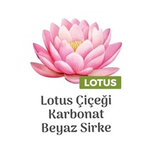 Çiçeği Kokulu Yüzey Temizlik Havlusu 6x100 600 Yaprak 0