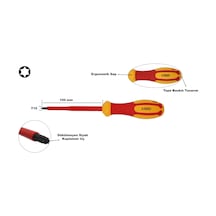 Ceta Form T10 X 100 Mm 1000v İzoleli Torx Uçlu Tornavida G04-010-100