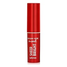 Sheer Bright Lipstick No:105 Hazelnut - Parlak Ruj Diğer
