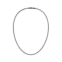 Daniel Wellington Dw00401105 Kadın Kolye Diğer