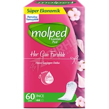 2 Adet Molped Günlük Her Gün Ferahlık Eko 60 Lı