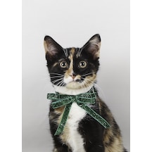 Simli Şerit Sarkik Fiyonk 1 CM Kilit Tokali Kedi Tasma Pembe
