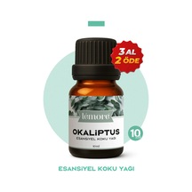 Okaliptüs
