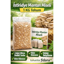 İstiridye Mantarı Miseli Tohumu Vakumlu 1 Kg Tohum 3 Adet Micro Delikli Torba Ekim Kılavuzu