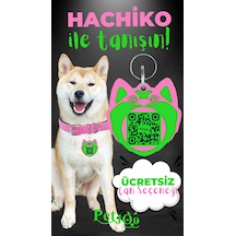 Petjoo 19.Hachiko Yeşil-Pembe Qr'lı Köpek Künyesi
