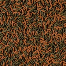 Tropical Cichlid Red Green Medium Sticks 100 Gram Balık Yemi