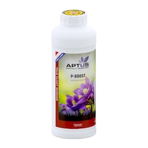 Aptus P Boost 500 ML