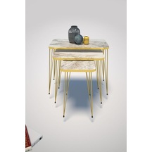 Zigon Sehpa Kr Gold Efes Tel Çok Renkli