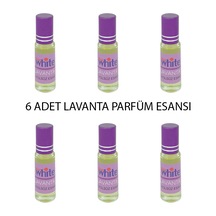 Lavanta