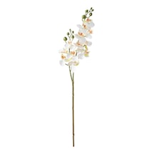 Delphıra Dal Çiçek Beyaz 62 Cm Çok Renkli