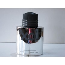 Xo Silver Erkek Parfüm EDT 100 ML