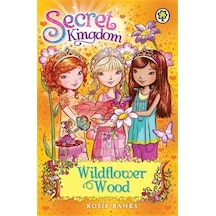 Wildflower Wood (Secret Kingdom) 9781408323380