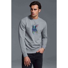 Renkli Baykuş Pop Art Illüstrasyon Baykuş Baskılı Gri Erkek Sweat