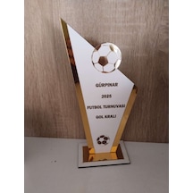 Plaket Satranç Masa Tenisi Futbol Basketbol Voleybol Masa