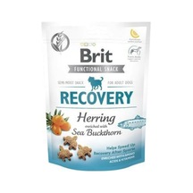 Brit Functional Snack Recovery Ringa Balıklı Köpek Ödül Maması 6 x 150 G