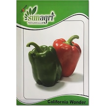 California Wonder Dolma Biber Tohumu