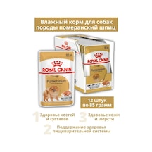 Royal Canın Royal Canin Pomeranian Adult Pate 12 Adet 85 Gr 134712136