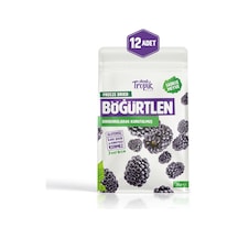 Dondurularak Kurutulmuş Böğürtlen 18 G Freeze Dried Meyve Cipsi Çıtır Meyve Kurusu 12 Adet