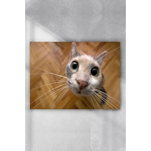 Kedi Eğlenceli Mizahi Poster 4