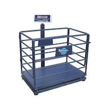 Hcw 600 KG x 200 Gr 70 x 110 Canlı Hayvan Baskülü Küçük Baş