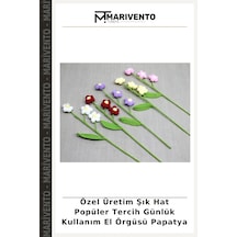 Çok Renkli