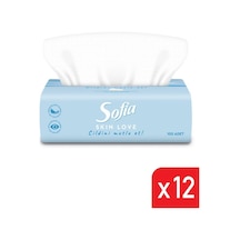 Sofia Skin Love Mendil 100'lü 12 Paket